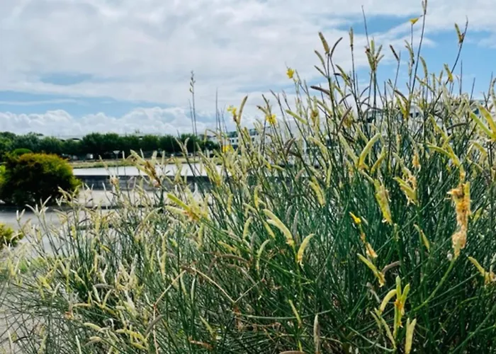 Apartment Charming With View *