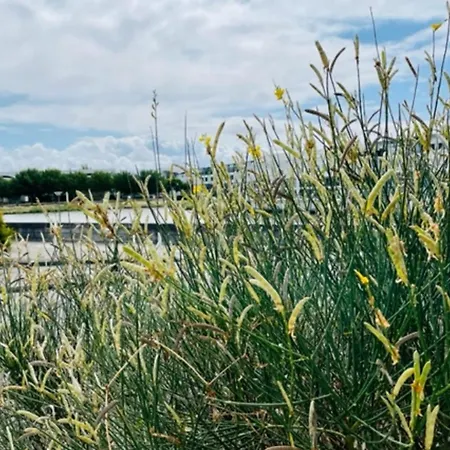 Charming With View Appartement La Rochelle (Charente-Maritime)